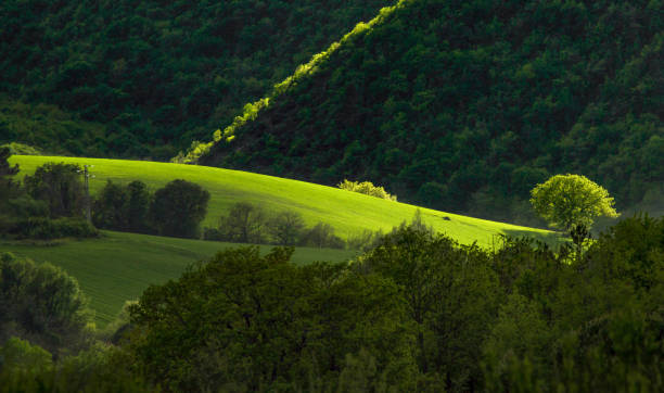 Sun ray on green hills in spring. Soft lines on cultivated field in rural Marche region