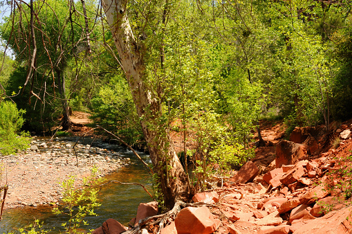 Oak Creek near Sedona Arizona