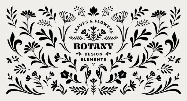 illustrazioni stock, clip art, cartoni animati e icone di tendenza di elementi di design di fiori e foglie - motivo floreale