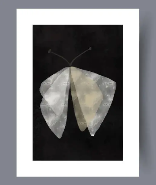 Vector illustration of Animal butterfly luminous moth wall art print