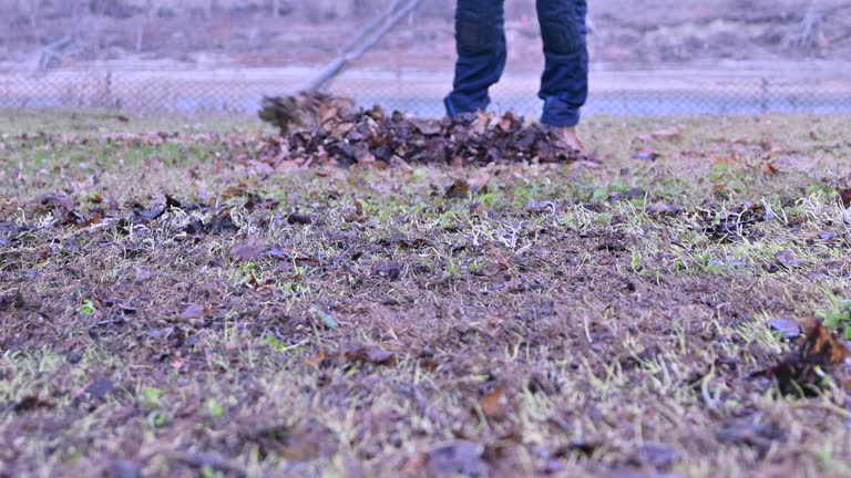 Autumn's Cleanup: Raking Leaves into Order