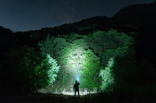 Night jungle exploration lighting。