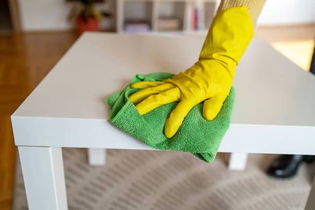istock Woman doing chores at home. Housekeeping concept 2104245501