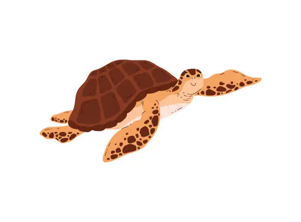 Vector illustration of Friendly swimming sea turtle. Vector illustration