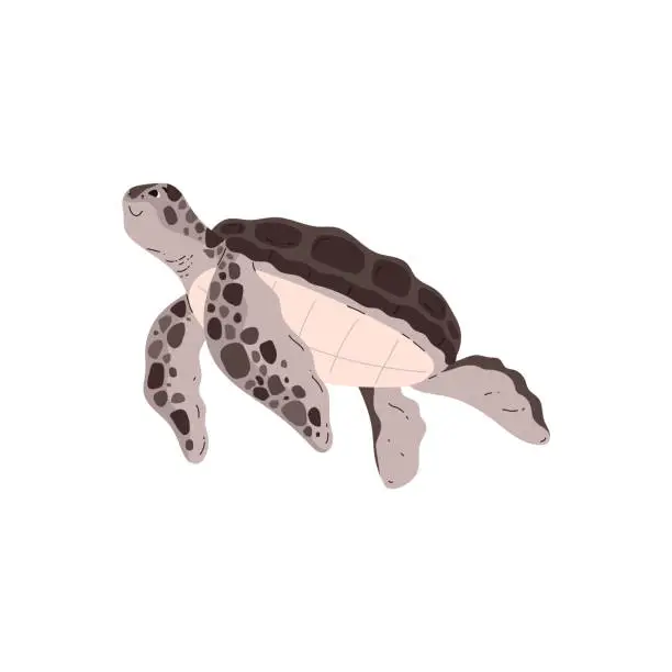 Vector illustration of Graceful sea turtle underwater. Vector illustration