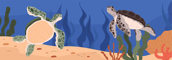 Cute sea green and grey turtles in underwater sea landscape. Ocean bottom wild life with corals and algae. Cartoon vector flat illustration of marine reptile animal, exotic amphibian