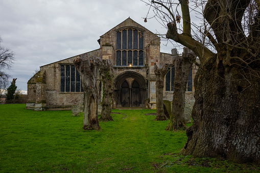 St Mary the Virgin Church in West Walton, Norfolk, on a winter day showing the west entrance with treelined grass path and an old yew tree.