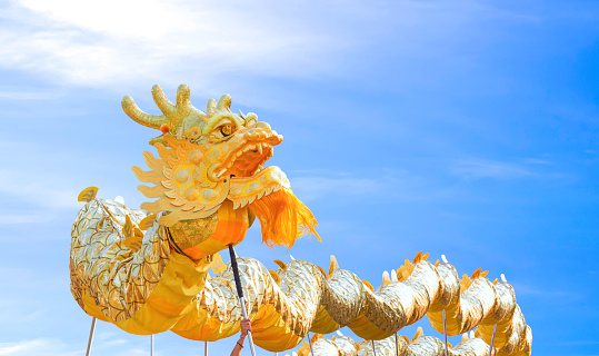 Golden dragon dance performance against blue sky background during Chinese New Year festival celebration