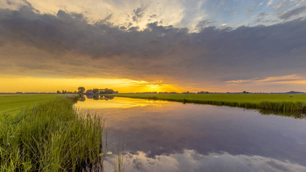 Paisagem holandesa do polder agrícola - foto de acervo