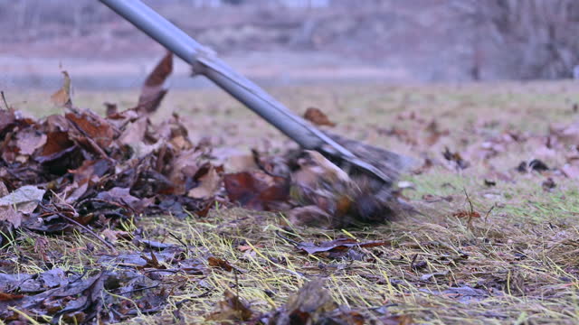 The Rustle of Fall: A Leaf-Raking Afternoon