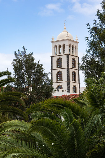 Belltower of Santa Ana Church rising above palm trees, Garachico, Canary island of Tenerife, Spain