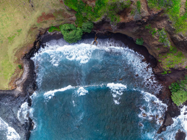 istock Aerial View Of A Black Sand Beach 2104383865