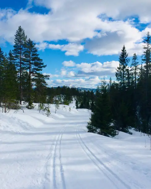 Cross-country ski tracks wind through the snow-covered forests of Kongsberg, offering a peaceful and invigorating Nordic winter experience.