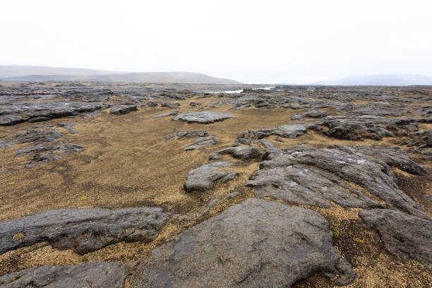 Iceland landscape along the road to Askja. Desolate Icelandic panorama