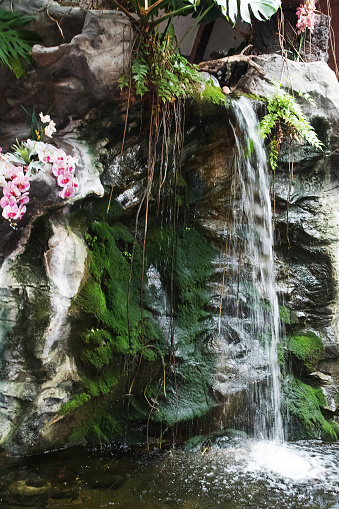 Bright waterfall streaks splashing down from moss covered cliff rocks in dark shade of tropical forest, high ISO shot without flash