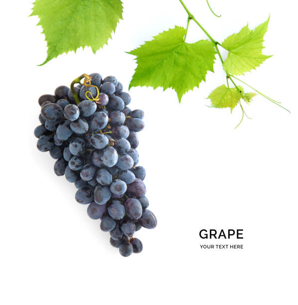 istock Creative layout made of dark grape. Flat lay. Food concept. 2104499736