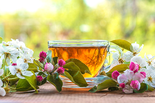 glass, transporent cup of herbal tea and apple and pear bloom on wooden table in front of the green garden