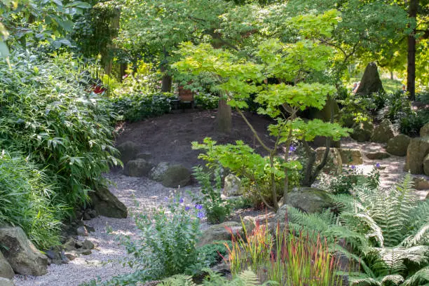 Photo of Garden of the Hortus Botanicus in Leiden.