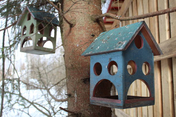 istock bird feeder in the form of a blue house 2104535867