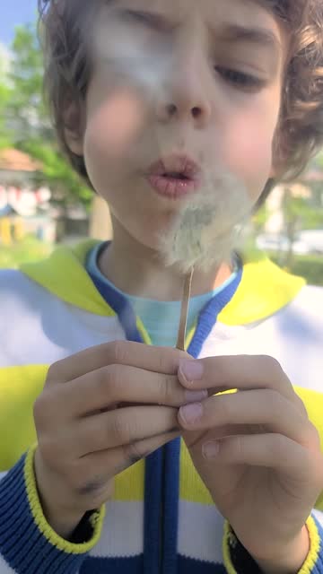 Young Boy Blowing Dandelion Seeds