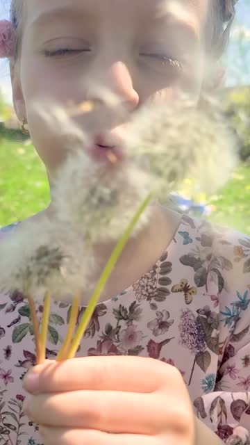 Little Girl Blowing Dandelion Seeds