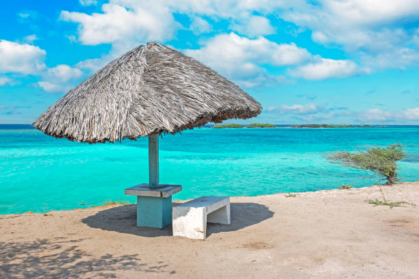 istock Straw umbrella on Eagle Beach, Aruba on a lovely summer day 2104536466