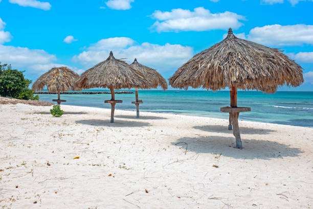Beach umbrella on the shore in Aruba. Clean emerald-green water behind; cloudy sky above.