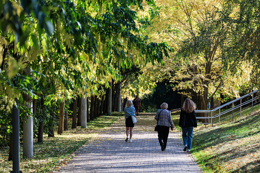 Moscow, Russia – September 28, 2023: Three  women walking in the park on a sunny autumn day.