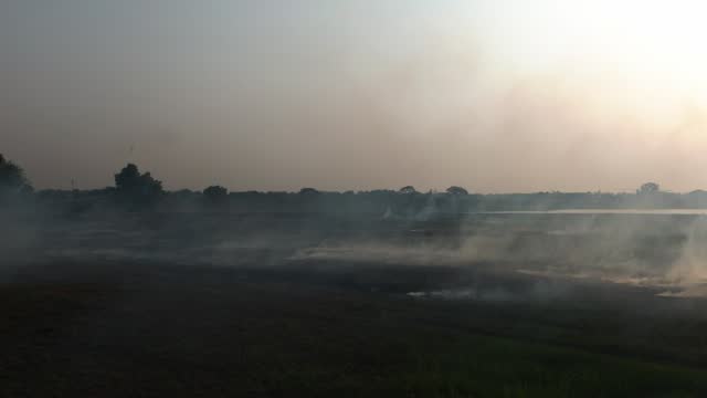 Burning grass and fire smoke air pollution