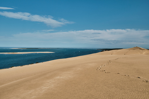Sand dunes of Denmark on a sunny summer day. White desert sand. Scandinavian dunes. Bright blue sky and sand dunes.