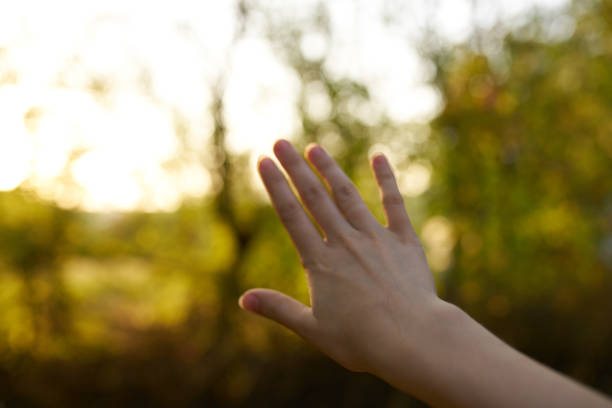 istock female hand park summer trees sun green grass nature 2104663685