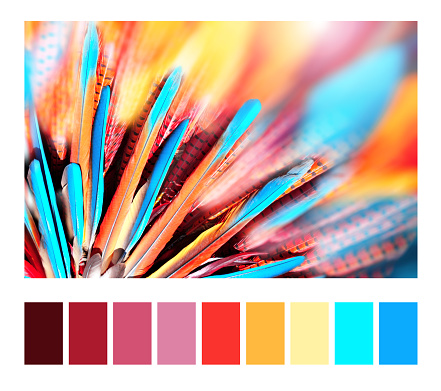 Color matching palette with colour swatches. Multi-colored feathers in native american indian chief headdress. Horizontal or vertical eye-catching banner with colourful blue, orange and red feathers