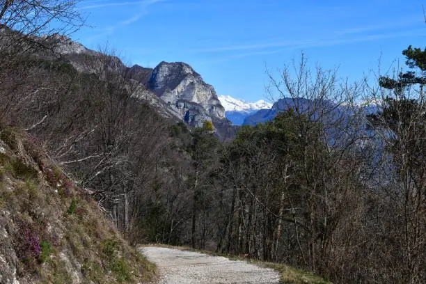 Ein Wanderweg bei Pregasina im Trentino