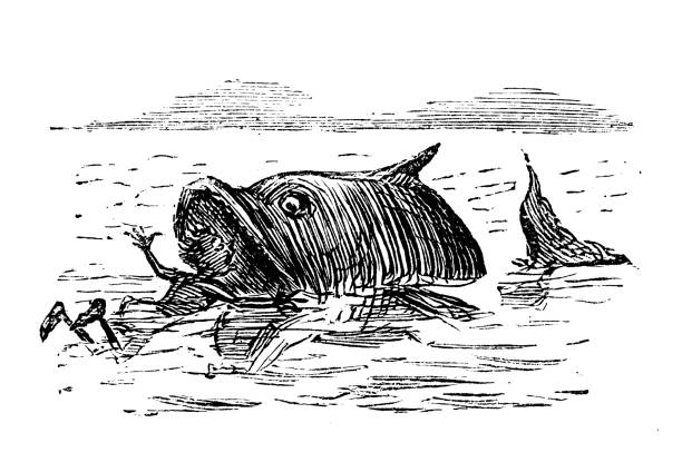 British satire caricature comic cartoon illustration