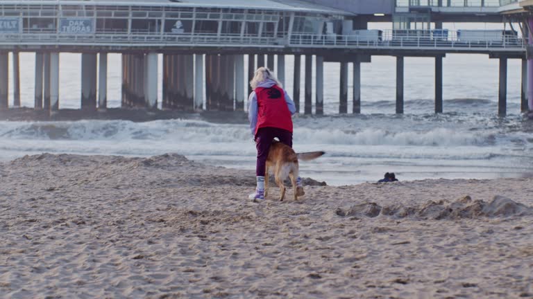 a woman dog handler trains and walks with her pet animal  shepherd dog on the beach, slowmotion cinematic style