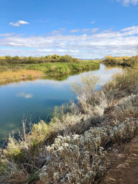 istock Colorado River at Yuma, Arizona 2104741601