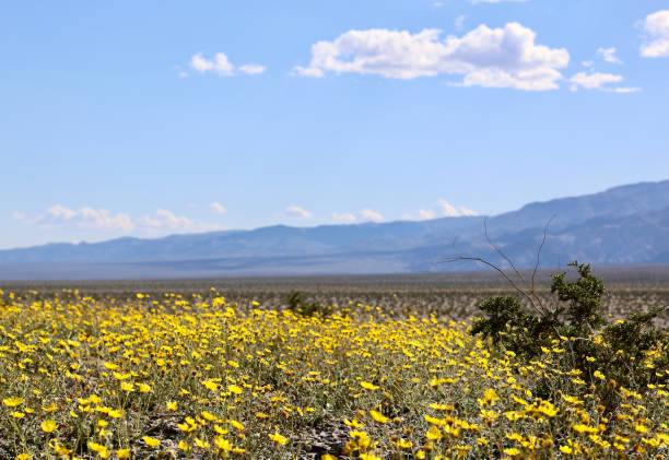 Death Valley