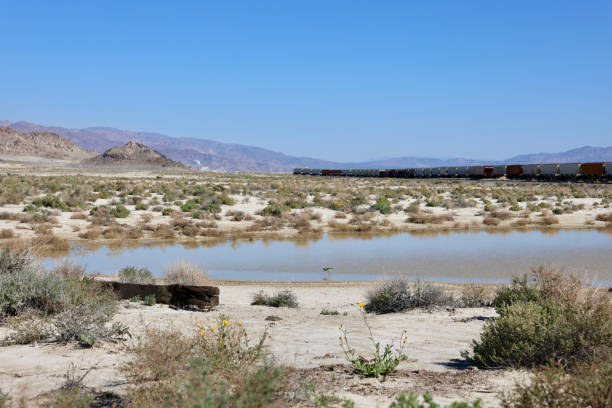 Freight train transporting containers through the desert in Barstow, California, United States