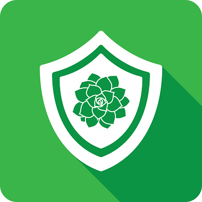 Vector illustration of a shield with flower icon against a green background in flat style.