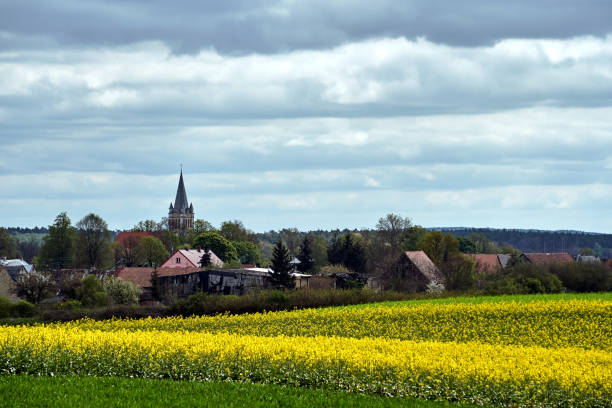 istock rapeseed fields, country houses and church bell tower during spring 2104771982