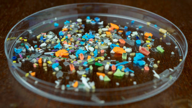 Macro shot of microplastics composition inside a lab petri dish. Concept of plastic pollution with nanoplastics. Detail of micro plastic particles that cannot be recycled. microplastic stock pictures, royalty-free photos & images