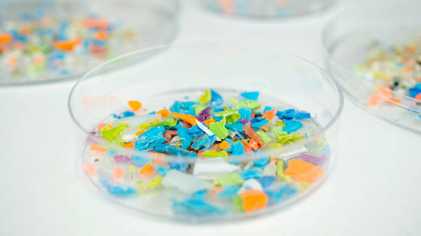istock Macro shot of microplastics composition inside a lab petri dish. Concept of plastic pollution with nanoplastics. 2104778844