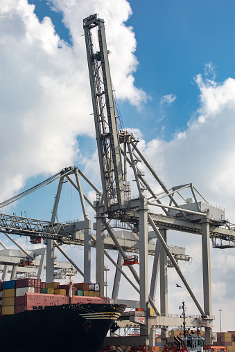 Large gantry cranes - port of Rotterdam - Maasvlakte