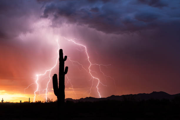 istock Arizona lightning storm at sunset 2104799260