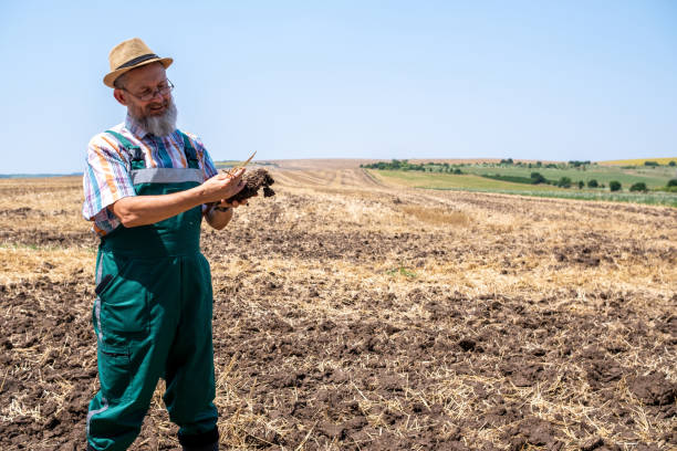 istock Cheerful white-bearded farmer on an agricultural field. 2104833870