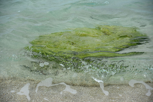 Ocean waters splashing around an algae covered green rock.