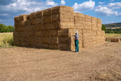 Cheerful white-bearded farmer in front of straw bales in an agricultural field. He is wearing green overalls and a checkered shirt. He has a knitted straw hat on his head. He looks petite against the pile of bales.