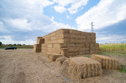 A large stack of hay bales at the end of an agro field on a cloudy day. A car in the background.