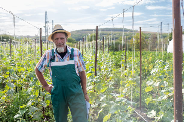 istock Portrait of a farmer working on a farm. 2104855525