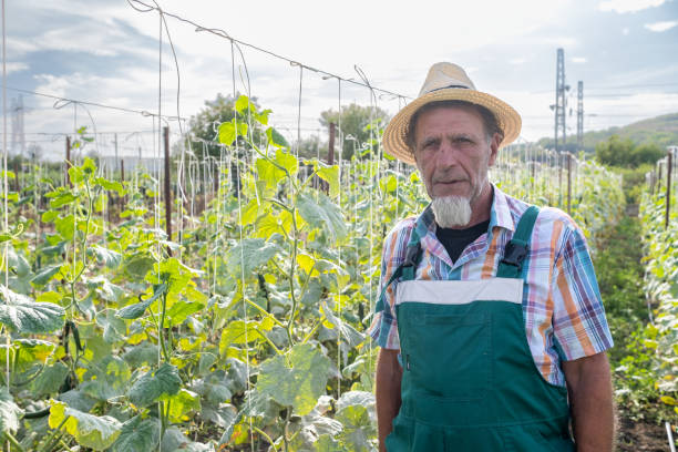 istock Portrait of a farmer working on a farm. 2104855533